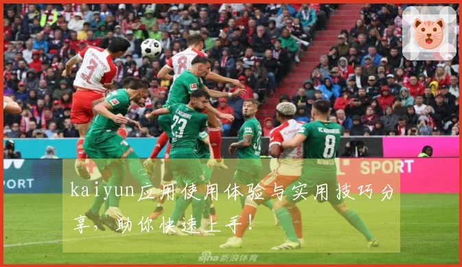 kaiyun应用使用体验与实用技巧分享，助你快速上手！