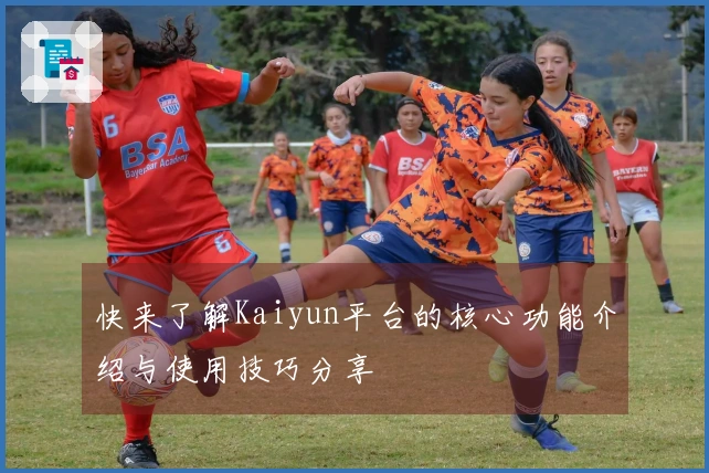 快来了解Kaiyun平台的核心功能介绍与使用技巧分享
