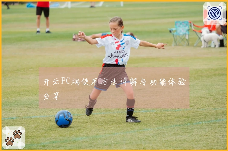 开云PC端使用方法详解与功能体验分享